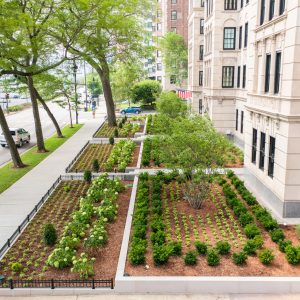 helios-construction-lakeshore-drive-building-landscaping-hardscaping-3